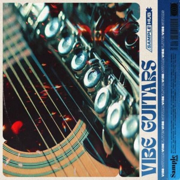 Vibe Guitars 2